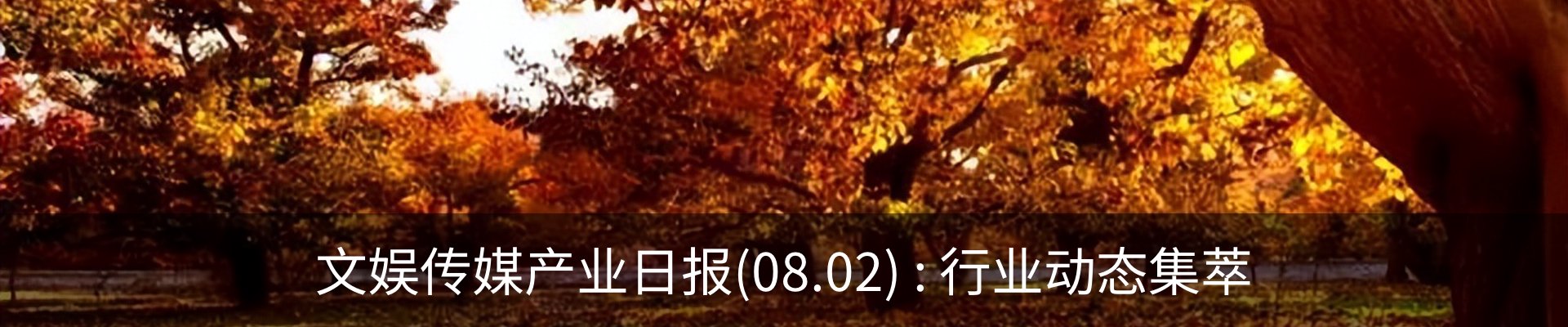 最新动态